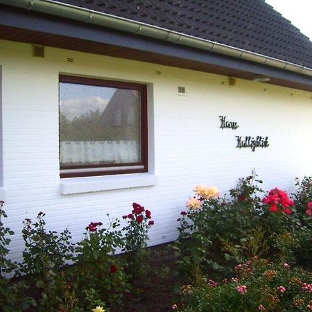 Hooge In The Haus Halligblick Dagebüll Eksteriør bilde